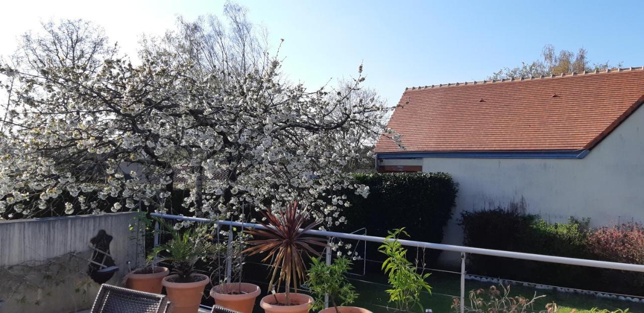 Chambre D'Hote - La Ruche Des Bleuets Mulsanne Exterior photo
